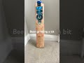 I love cricket 🏏