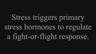Psychoneuroimmunology: Stress Impact on Immune Function and Health
