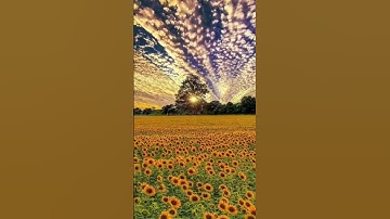 آية من سورة الرعد بصوت القارئ إسلام صبحي #المصحف