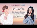 How would BLACKPINK and BTS (VL) sing 'Señorita' by Shawn Mendes, Camila Cabello (LD + lyrics)