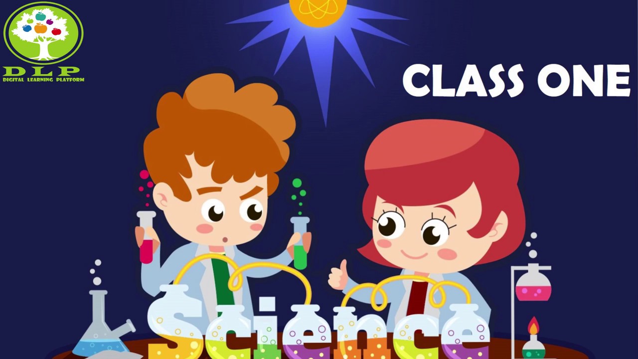 Digital Learning Platform