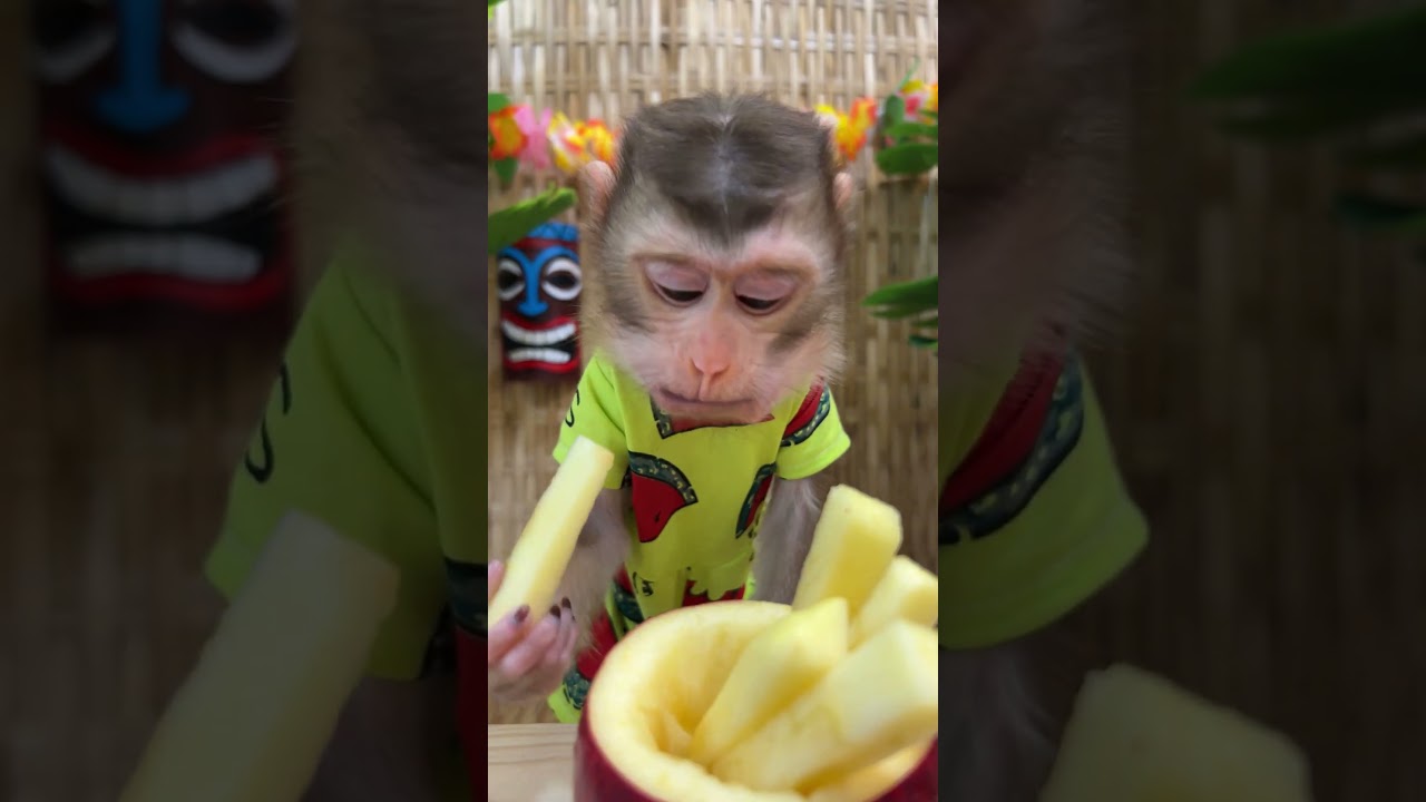 You just discovered apples are better than fries | Curious Monkey Family's Daily