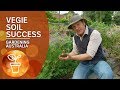 Preparing soil for vegie success