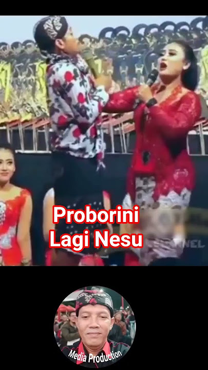 Proborini Ngamuk #proborini