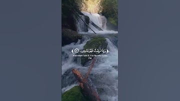 🌿تلاوة_من_سورة_الشعراء_🌿القارئ_شريف_مصطفى_🌿 #quran #القرآن_الكريم #حالات_واتساب