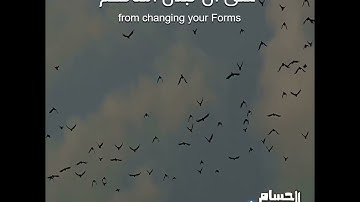 سورة الواقعة القارئ شريف مصطفى