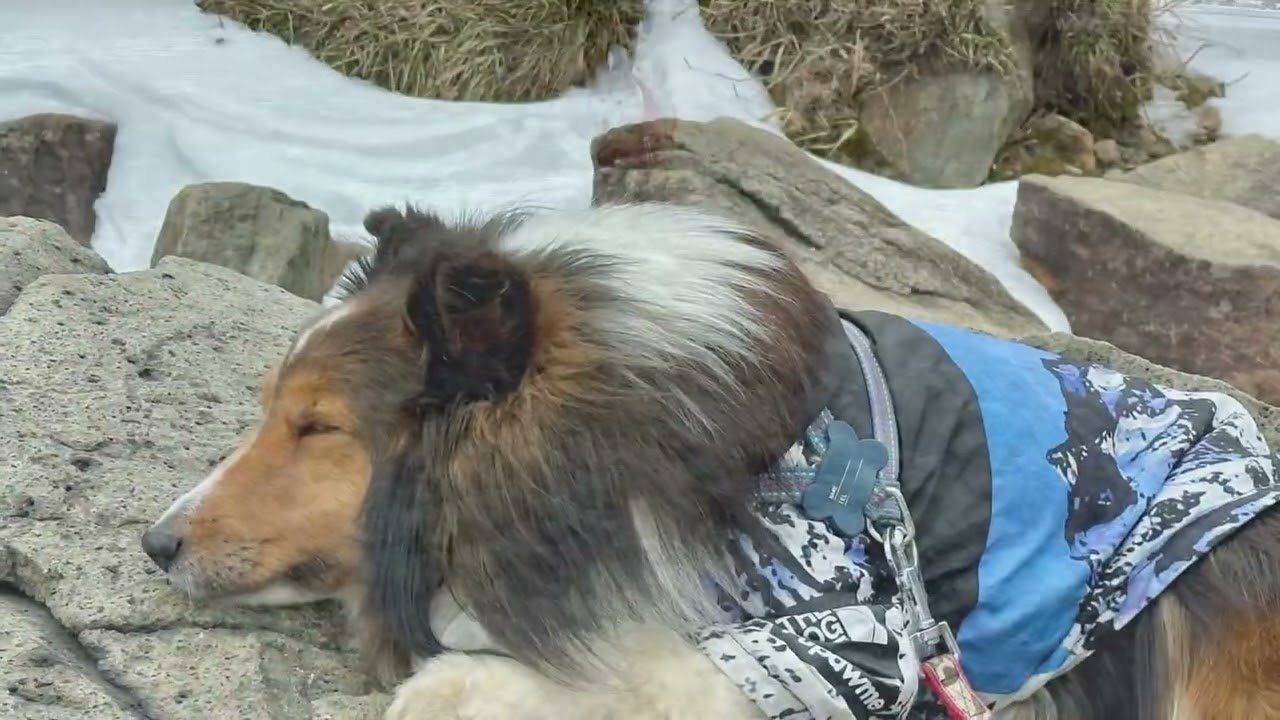 くじゅう連山2026.2.14