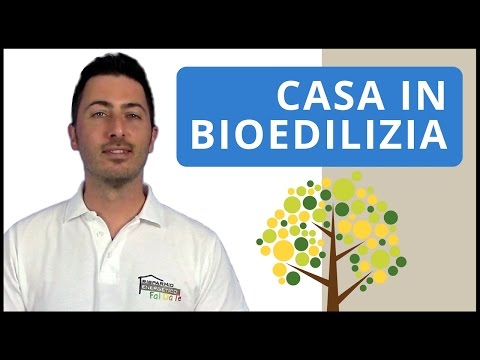 Video: Le case a telaio sono efficienti dal punto di vista energetico?