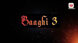 Baaghi 3: The locals