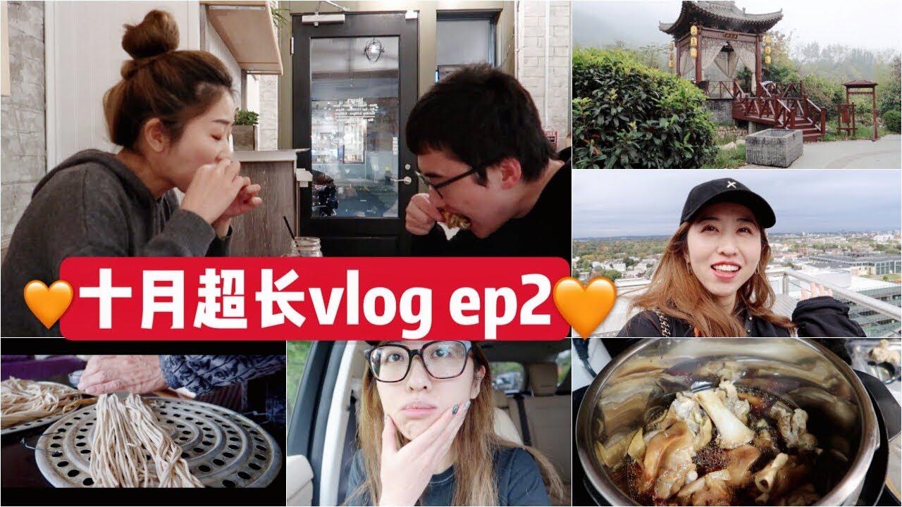 【十月超长VLOG Ep2】一个人回西安| 都是好吃的| 快手炖猪蹄| SW活动