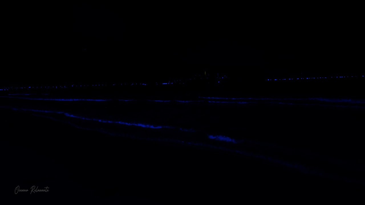 Irresistibly Comforting Sounds😴 Ocean Sounds for Relieving Anxiety and Stress 💤 Calm Your Soul