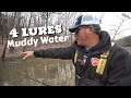 Best 4 Lures in MUDDY Water you need to know!