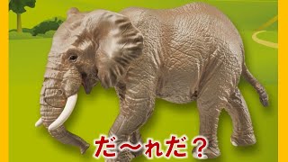 【公式】びーくるずー 「どうぶつのなまえをおぼえよう！」【トミカ・プラレール・アニア】