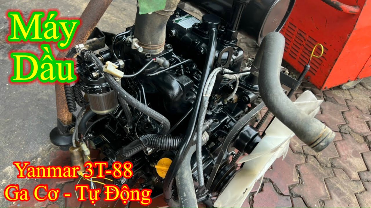 Clip 975 | Máy yanmar 3t88 | máy dầu 3 | các loại máy nhật bãi