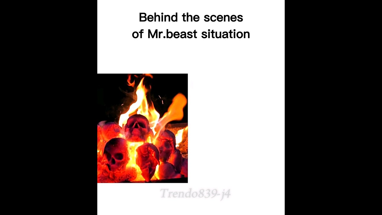Actual Mr.Beast Situation...