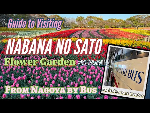 How to Visit Nabana no Sato from Nagoya Japan