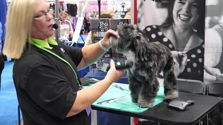 Aussiedoodle Head with Tammy Siert