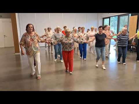 Vriendschapsdans