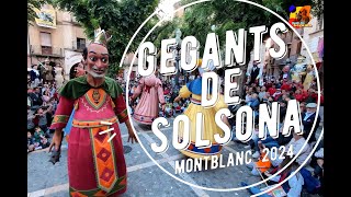 Gegants Solsona a la 30 Anys dels amics dels Gegants de Montblanc