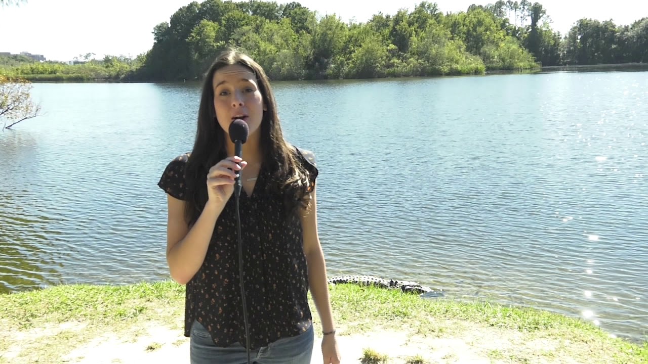Are There Alligators In Lake Alice?