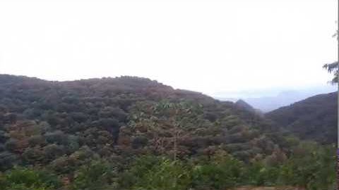 Sinh Vlogs đi thăm bẫy chuột rừng và cái kết