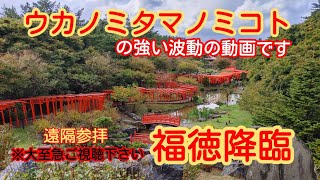 【No.89　高山稲荷神社】狐の嫁入り？神様の大歓迎のようで神社に入ると雨風が強烈に、その中で丁寧にお詣りをして最後は雨風止み晴天になりました。非常に強い波動をご覧ください。