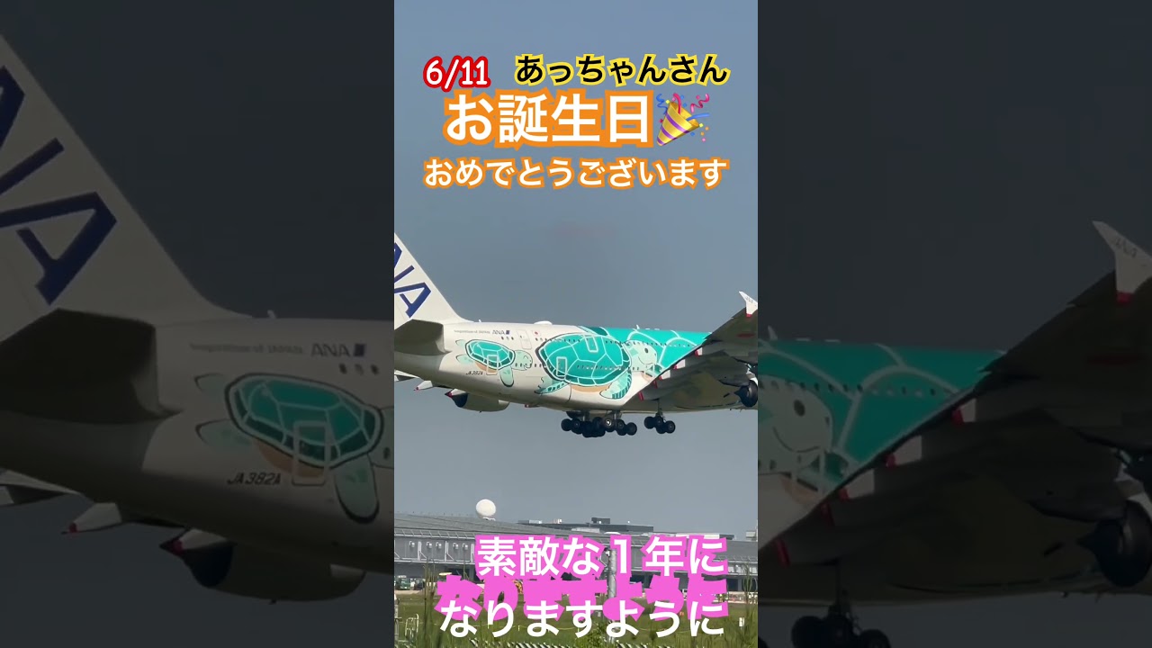 6/11 あっちゃんさんお誕生日おめでとうございます🎉#shorts #成田空港