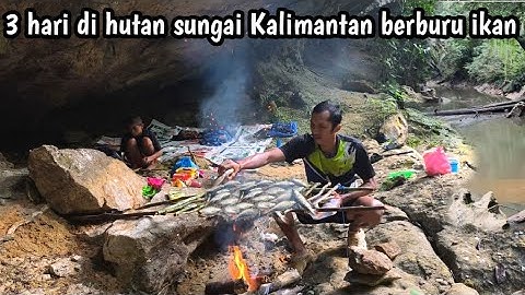 3 hari berpetualang di sungai terpencil Kalimantan berburu ikan 
