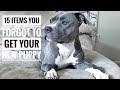 Training a blue nose pitbull best techniques for apartment living.