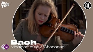 Bach: Vioolpartita nr. 2, BWV 1004 ‘Chaconne’ - Lisa Jacobs - Live HD