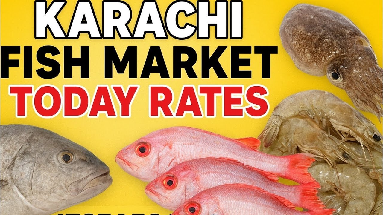 “Karachi Fish Market Today Rates | Dam Mandi Fresh Seafood Prices Update | JZSeafood”