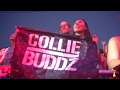 Collie Buddz - Dry Diggings Music Festival Recap