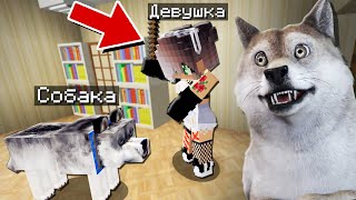 БРОДЯЧИЙ ПЕС УКУСИЛ ДЕВУШКУ ХОЗЯИНА В МАЙНКРАФТ! ЖИЗНЬ ЖИВОТНЫХ В MINECRAFT!