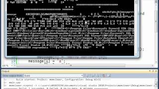 memviewer part13 - intentional buffer overflow