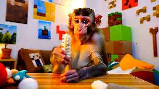 monkey asmr