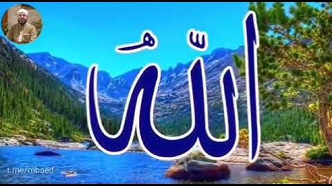 من سورة المائدة 12-13 بصوت الشيخ محمود المبيض