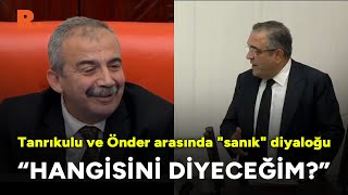 Sezgin Tanrıkulu ile Sırrı Süreyya Önder arasında \