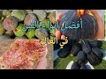اشهر اصناف التين في العالم تعرف على التين الفاخر من تركيا وأمريكا وإيطاليا التين 