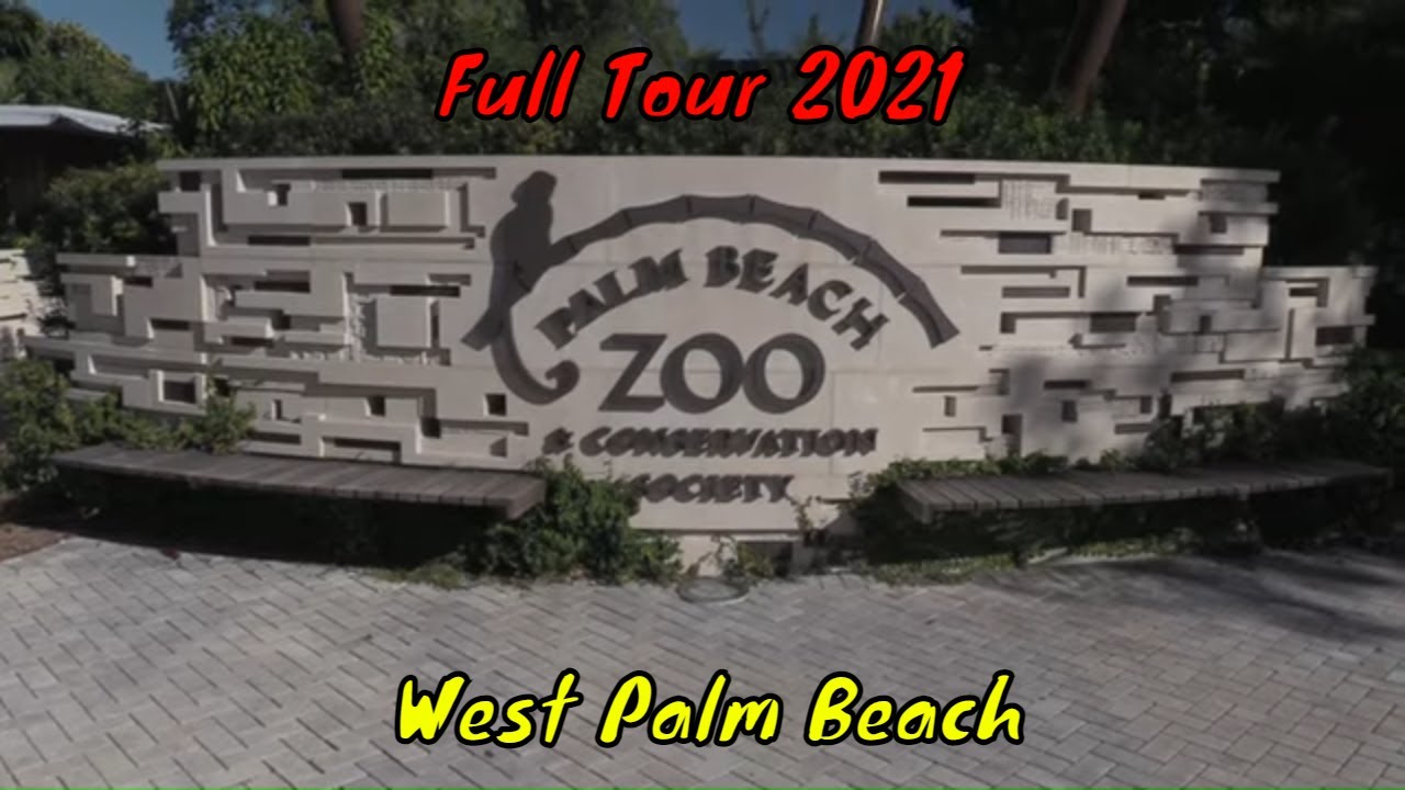 things to do in south florida - The Palm Beach Zoo & Conservation Society