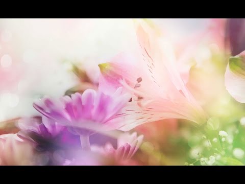 童謡　「赤い靴」　ギター独奏