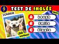 Test de 50 Verbos en Inglés 🧠📚 ¿Cuánto sabes de Inglés? 🇺🇸 QUIZ de Inglés