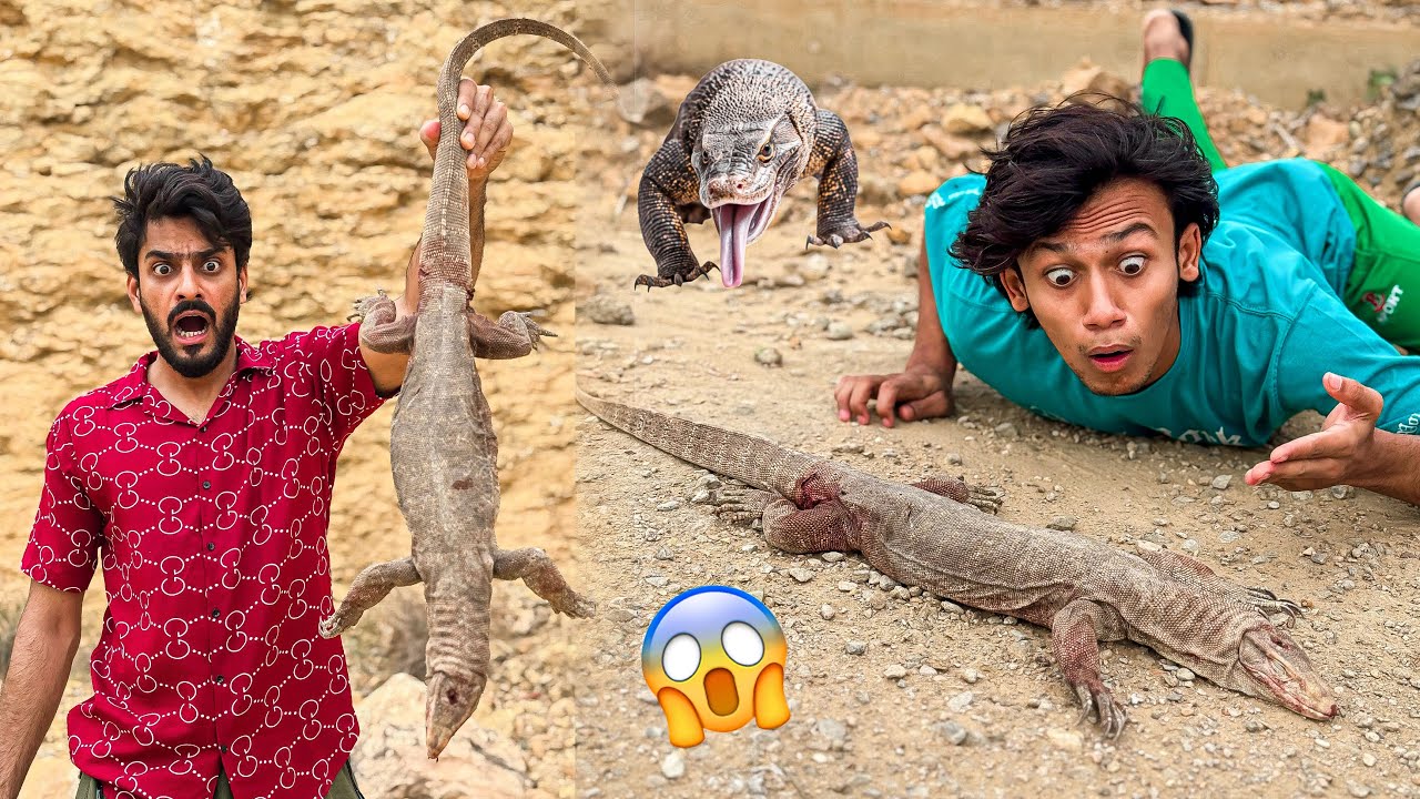 I FOUND MONSTER LIZARD IN MOUNTAIN😳| RESCUE VLOG | MISHKAT KA MUNNA