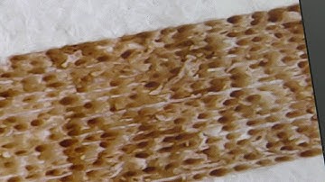 RDWorks Learning Lab 159A The Chequer board Footnote