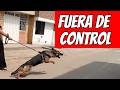 Esta pastorcita ya estaba volviendo loca a la dueña ... Hasta que intervine Yo