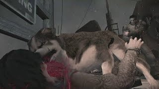 Dead to Rights: Retribution - Walkthrough | LongPlay [No Commentary] Part 1