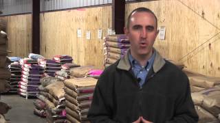 Jason Banta - BQA - Feeding appropriate feed to cattle