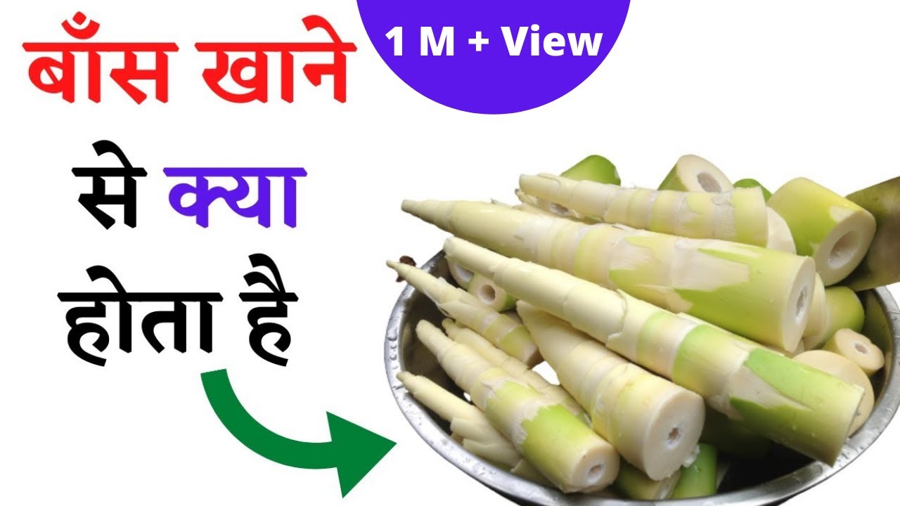 Health Benefits Of Bamboo Shoots Health Fitness Health Benefits Of Bamboo Shoots Health Fitness