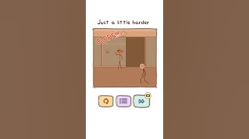 Thief Puzzle Level 158