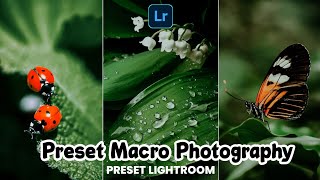 FREE 50 + PRESET LIGHTROOM TERBARU 2023 | PRESET MACRO PHOTOGRAPHY | PRESET LIGHTROOM