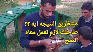 علشان فاهم التربيه _ عرف ان كلبه محتاج الطبيعه والشمس 😉😉